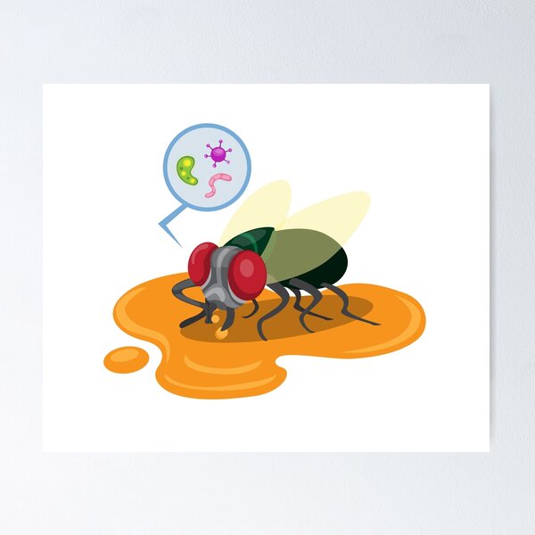 Item preview, Red Eyed Fly With Bacteria Eating Something designed and sold by Chubuter.