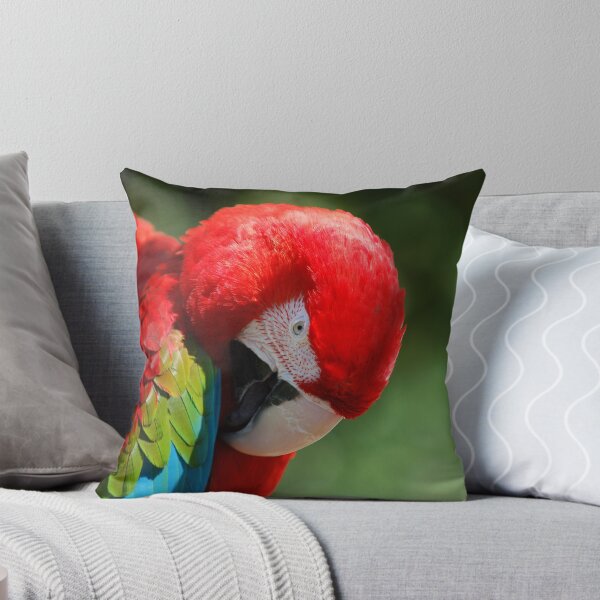 Item preview, Camera shy designed and sold by OneTPellegrino.