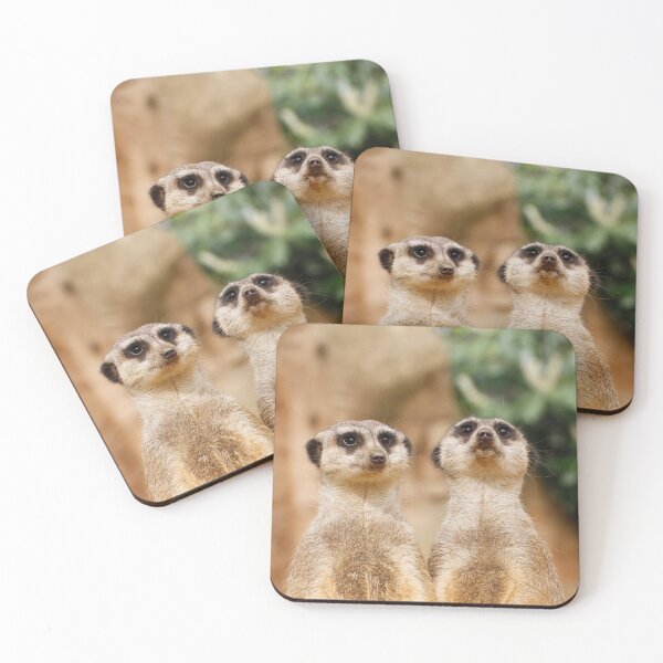 Item preview, Meerkat 017 designed and sold by JAMFoto.