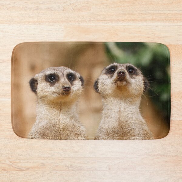 Item preview, Meerkat 017 designed and sold by JAMFoto.