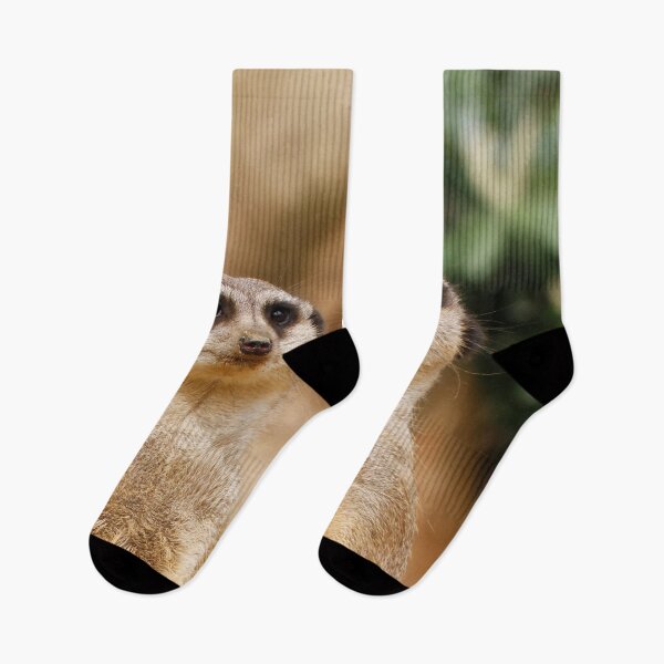 Item preview, Meerkat 017 designed and sold by JAMFoto.