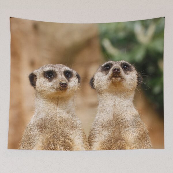 Item preview, Meerkat 017 designed and sold by JAMFoto.