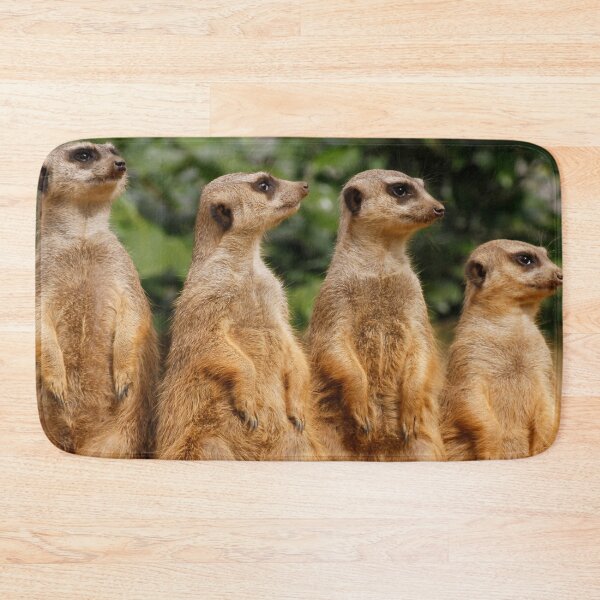 Item preview, Meerkat 018 designed and sold by JAMFoto.