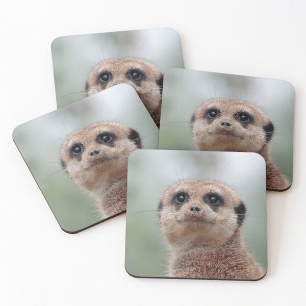 Item preview, Meerkat 020 designed and sold by JAMFoto.