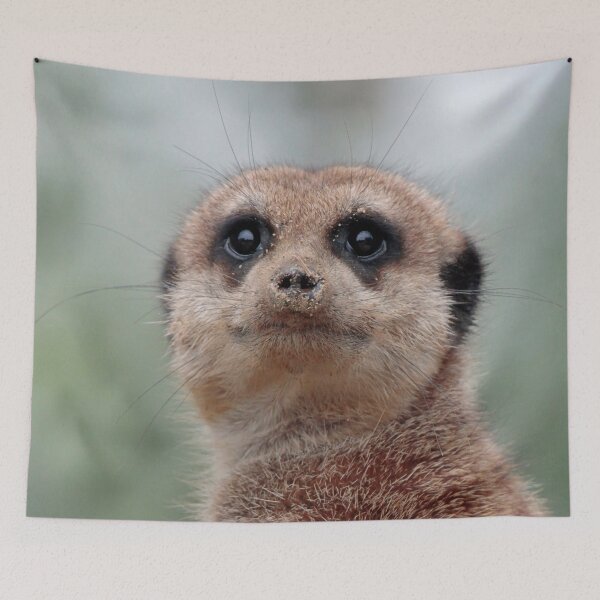 Item preview, Meerkat 020 designed and sold by JAMFoto.