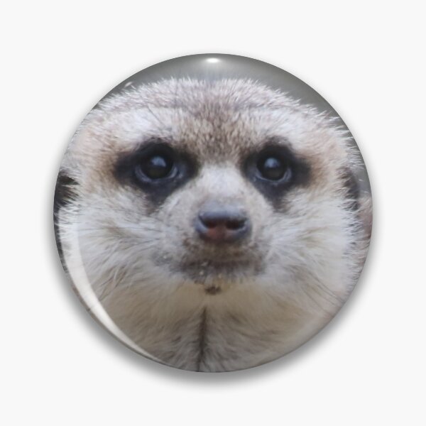 Item preview, Meerkat 021 designed and sold by JAMFoto.