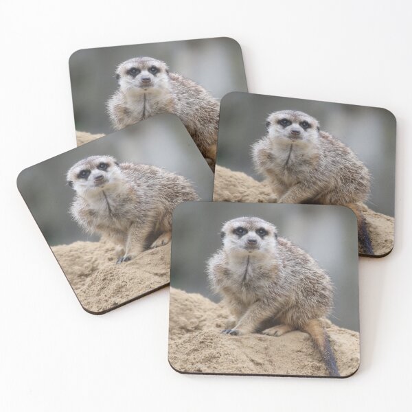 Item preview, Meerkat 021 designed and sold by JAMFoto.