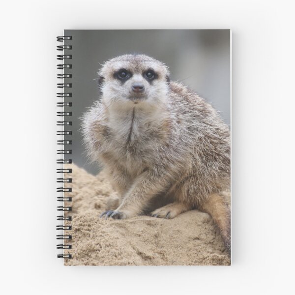 Item preview, Meerkat 021 designed and sold by JAMFoto.