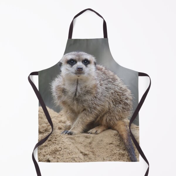 Item preview, Meerkat 021 designed and sold by JAMFoto.