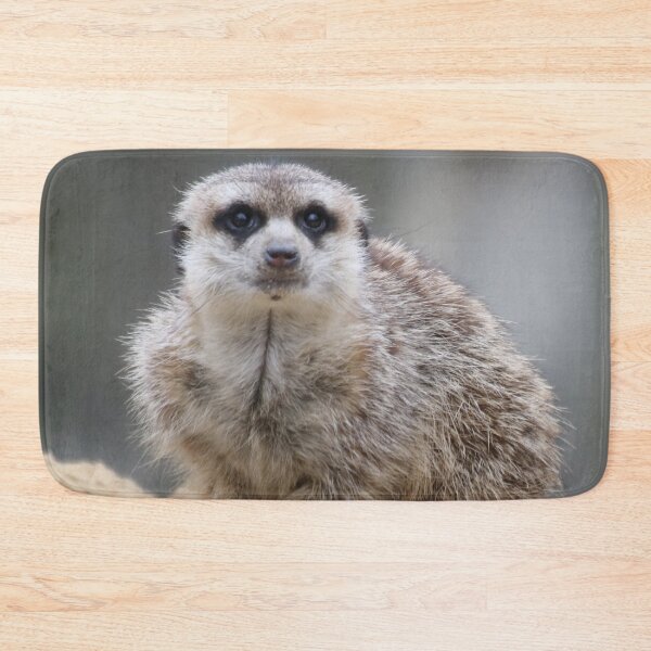 Item preview, Meerkat 021 designed and sold by JAMFoto.