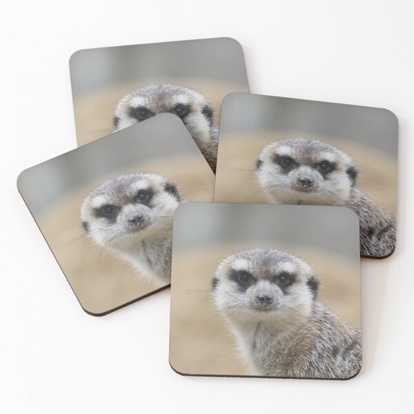 Item preview, Meerkat 022 designed and sold by JAMFoto.