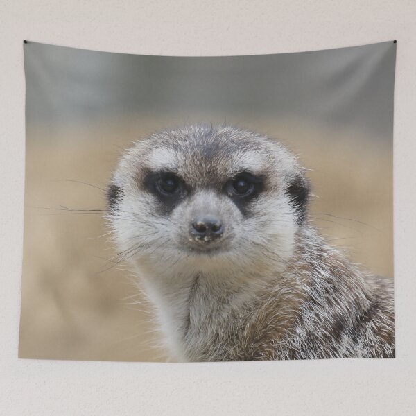 Item preview, Meerkat 022 designed and sold by JAMFoto.