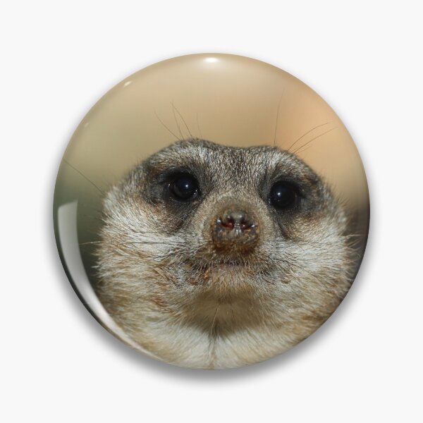 Artikelvorschau, Meerkat 023 entworfen und verkauft von JAMFoto.