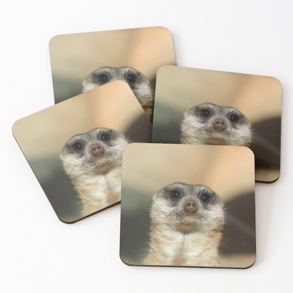 Item preview, Meerkat 023 designed and sold by JAMFoto.