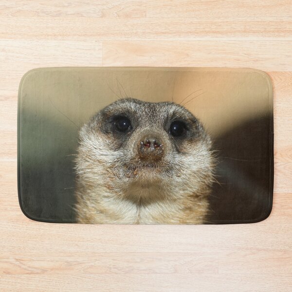 Item preview, Meerkat 023 designed and sold by JAMFoto.