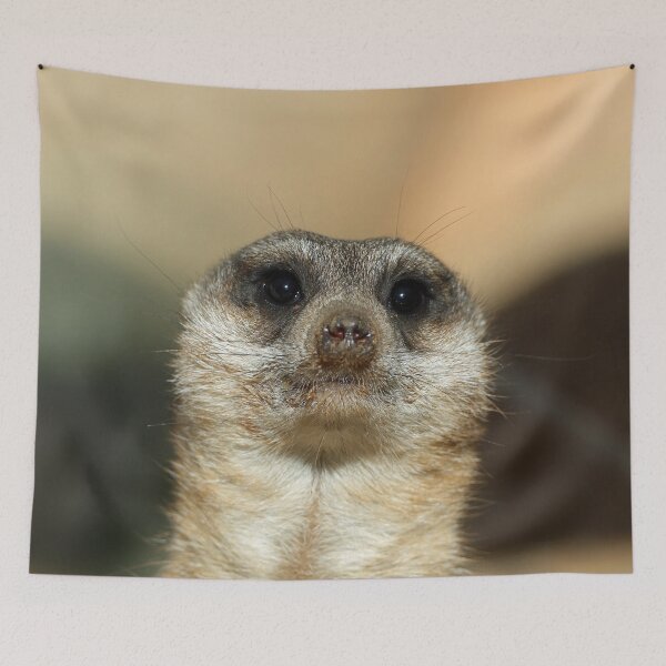 Item preview, Meerkat 023 designed and sold by JAMFoto.