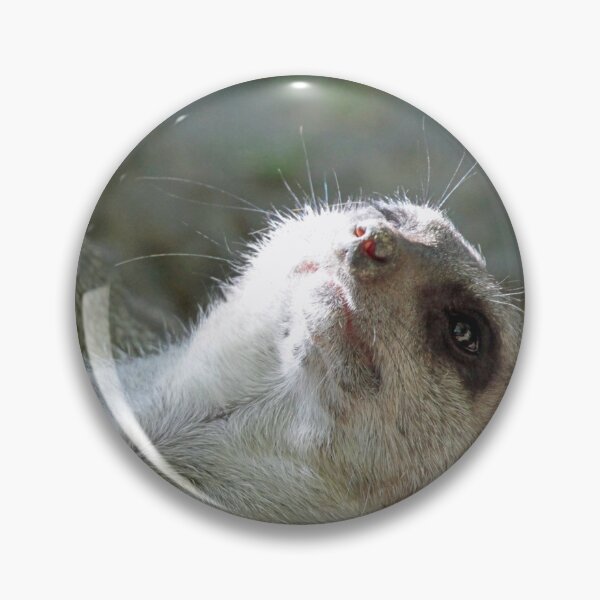Artikelvorschau, Meerkat 024 entworfen und verkauft von JAMFoto.