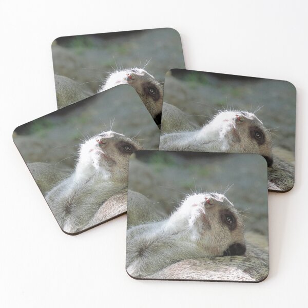 Item preview, Meerkat 024 designed and sold by JAMFoto.