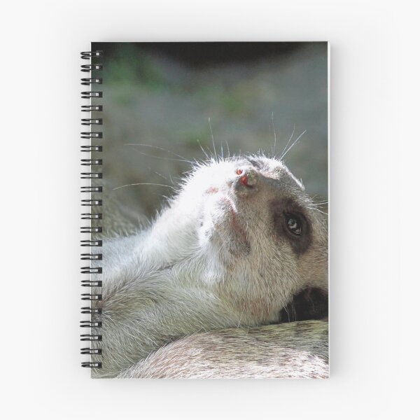 Item preview, Meerkat 024 designed and sold by JAMFoto.