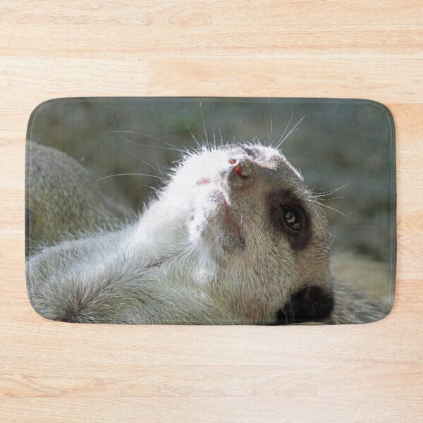 Item preview, Meerkat 024 designed and sold by JAMFoto.