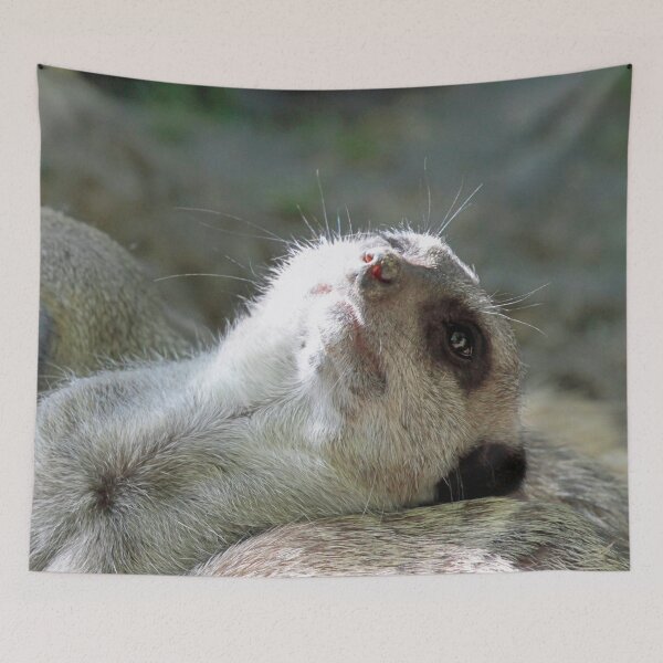 Item preview, Meerkat 024 designed and sold by JAMFoto.