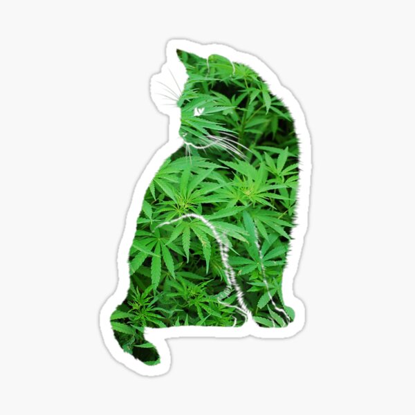 cannabis, weed, marijuana, high, smoking, smoke, nature, dope, cat Sticker
