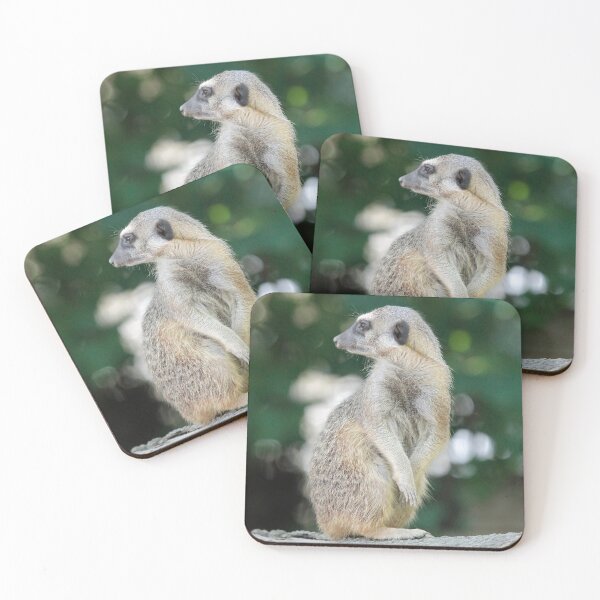Item preview, Meerkat 025 designed and sold by JAMFoto.