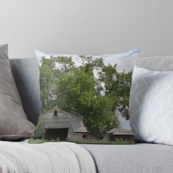 Item preview, barn in weld county Co designed and sold by Brian Persons.