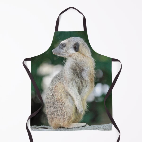 Item preview, Meerkat 025 designed and sold by JAMFoto.