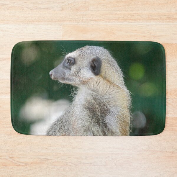 Item preview, Meerkat 025 designed and sold by JAMFoto.