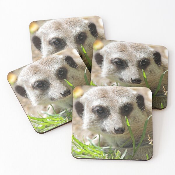 Item preview, Meerkat 026 designed and sold by JAMFoto.