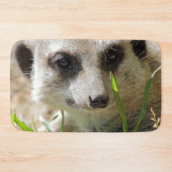 Item preview, Meerkat 026 designed and sold by JAMFoto.