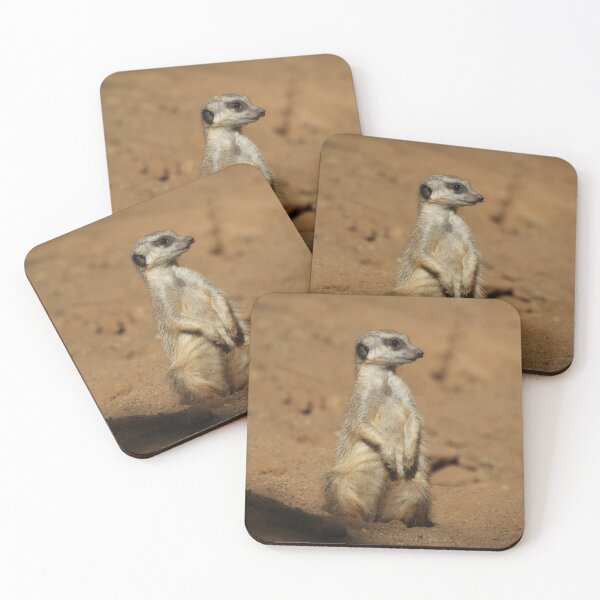 Item preview, Meerkat 027 designed and sold by JAMFoto.