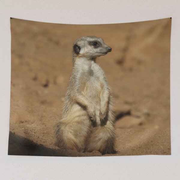 Item preview, Meerkat 027 designed and sold by JAMFoto.