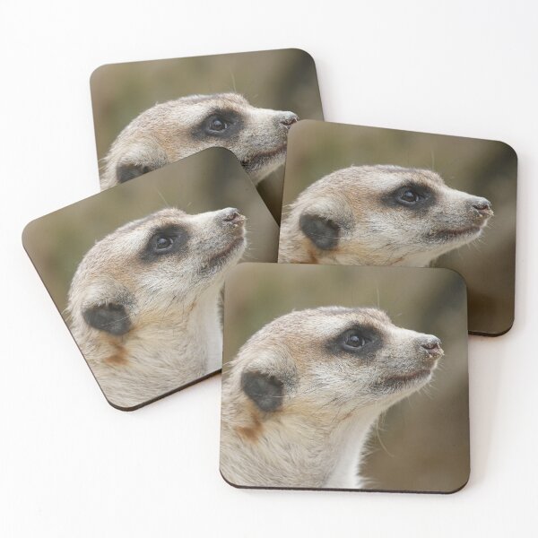 Item preview, Meerkat 028 designed and sold by JAMFoto.