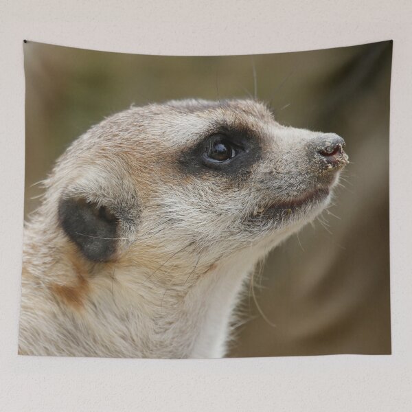 Item preview, Meerkat 028 designed and sold by JAMFoto.