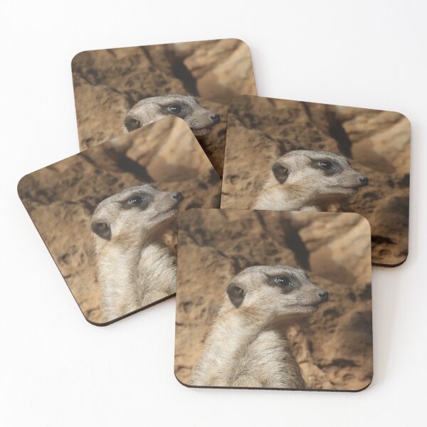 Item preview, Meerkat 029 designed and sold by JAMFoto.