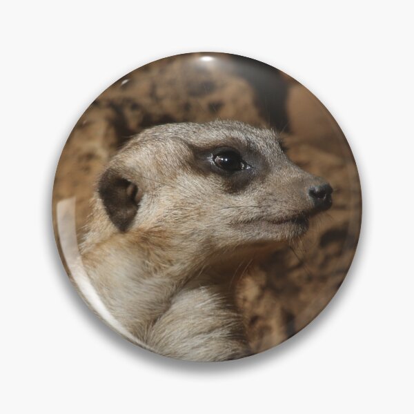 Item preview, Meerkat 029 designed and sold by JAMFoto.