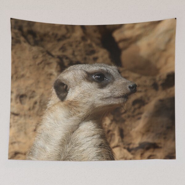Item preview, Meerkat 029 designed and sold by JAMFoto.