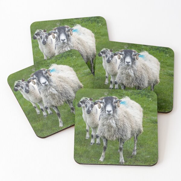 Item preview, Swaledale ovejas y corderos cerrar designed and sold by Cameranick.