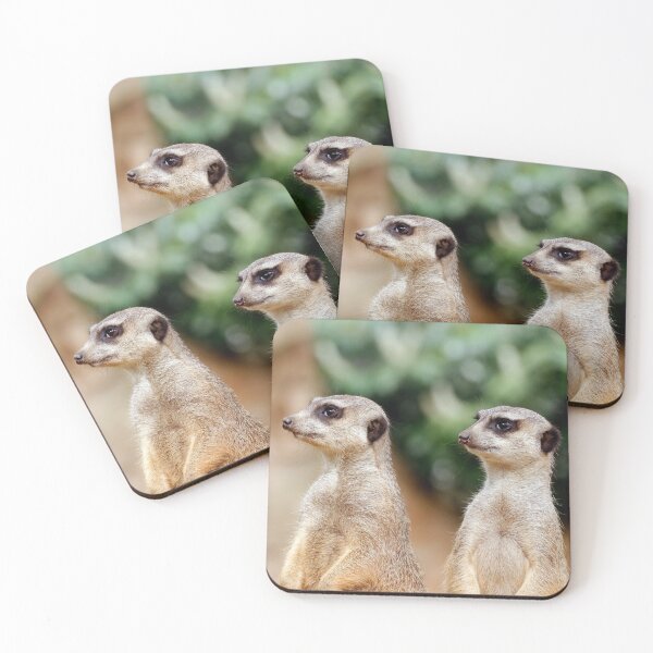 Item preview, Meerkat 030 designed and sold by JAMFoto.