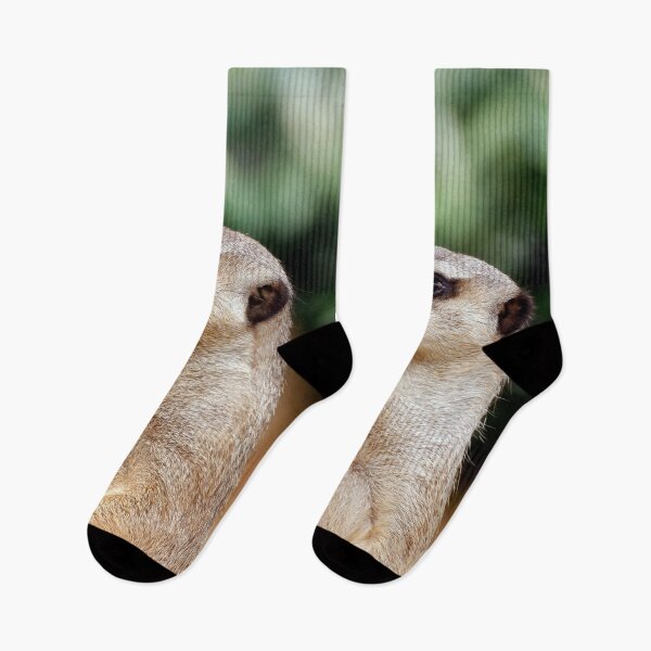 Item preview, Meerkat 030 designed and sold by JAMFoto.