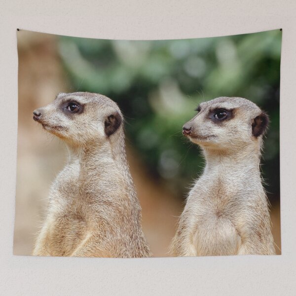 Item preview, Meerkat 030 designed and sold by JAMFoto.