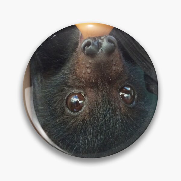 Badge Krista Le Renard Volant Noir Par Bellabatty Redbubble