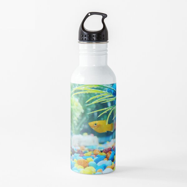 Aquarium Water Bottle Redbubble