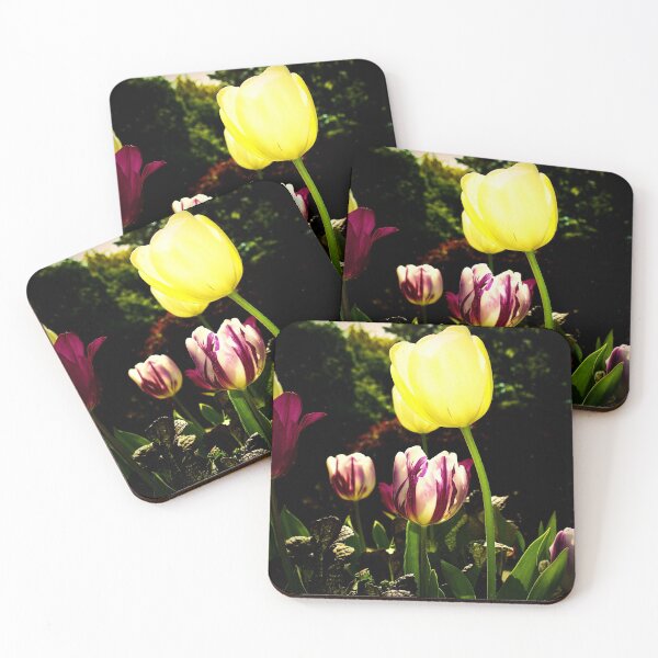 Item preview, Echoes designed and sold by Melanie Uadjit.