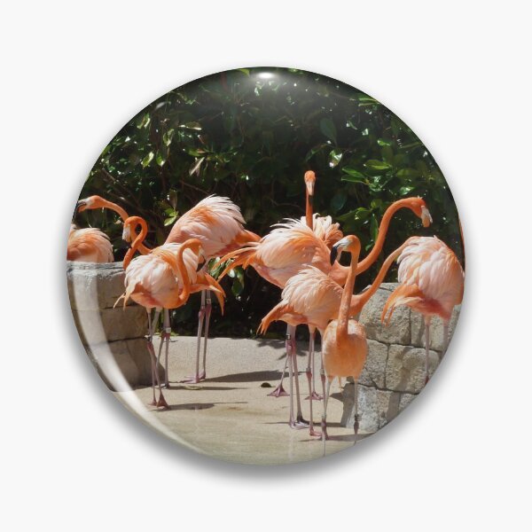 Item preview, Flamingo designed and sold by DomGDesign.