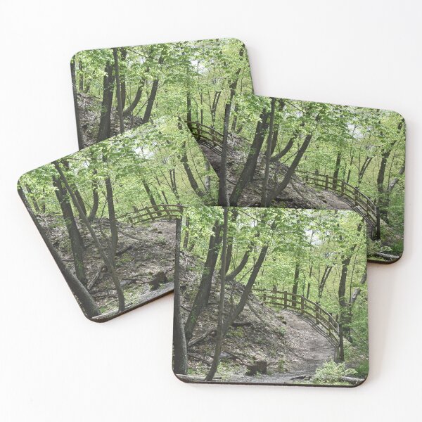 Item preview, The Forest Path designed and sold by bertsworks300.