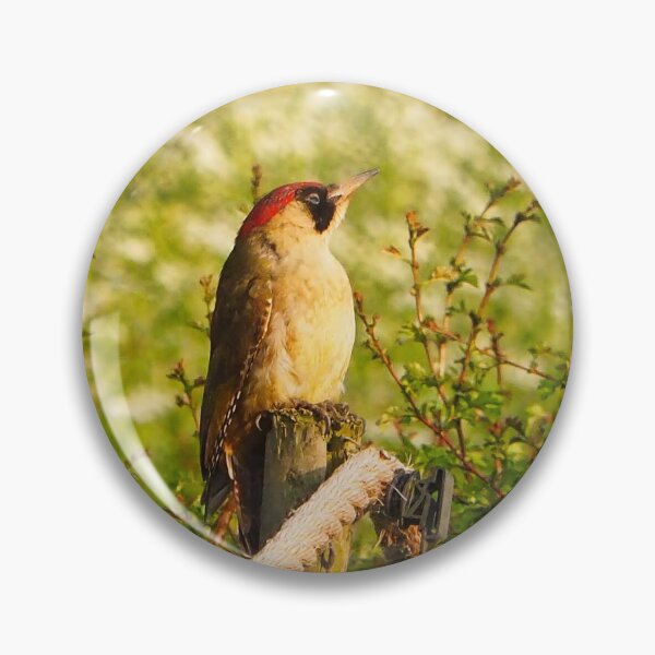 Item preview, Green woodpecker 1 designed and sold by jonfun1.