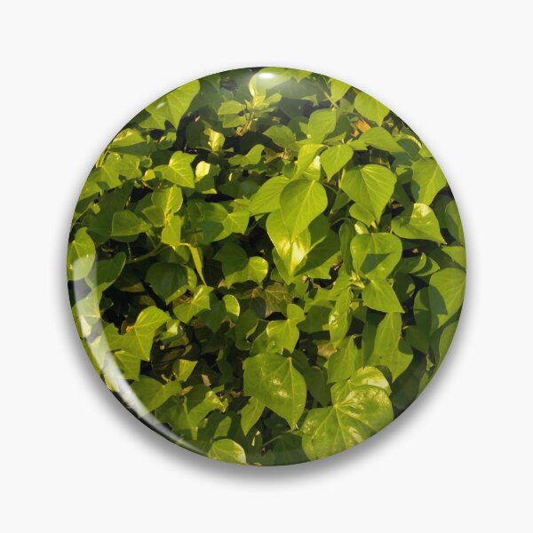 Item preview, green designed and sold by Babbler01.